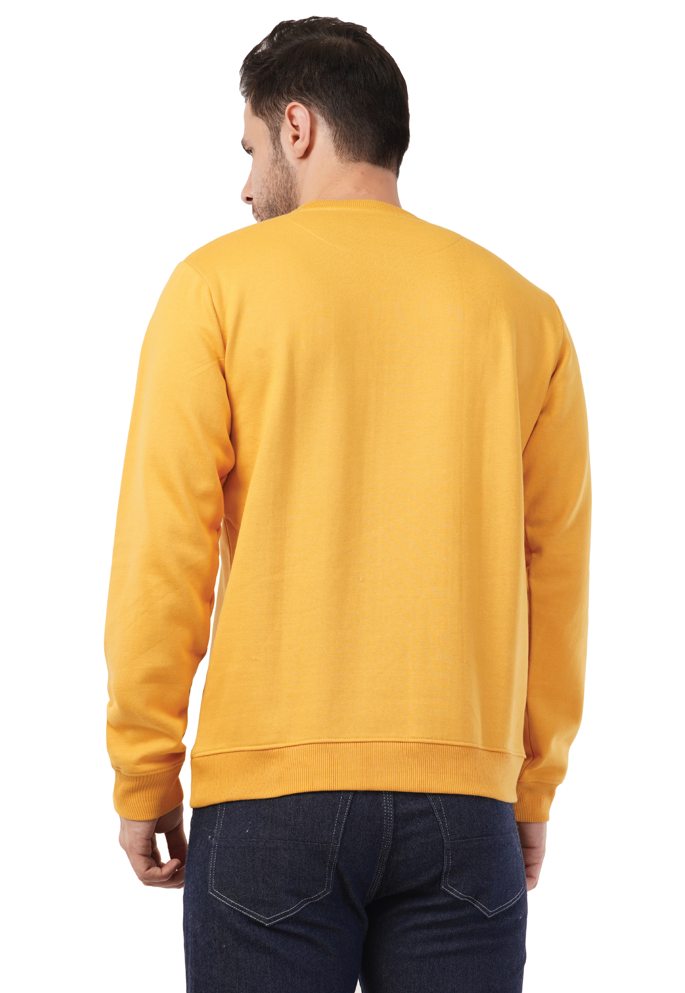 MALE SWEATSHIRT WITH SILICON HD PRINT